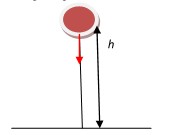 gravitational acceleration